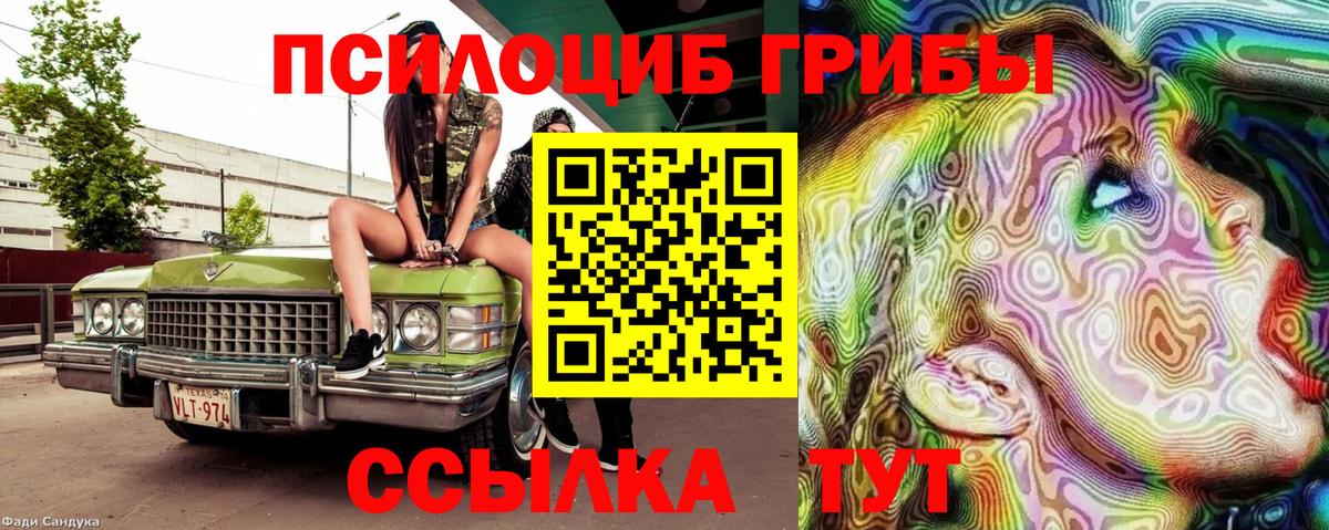 Нижнеудинск  Псилоцибиновые грибы ЛСД  Вход с VPN  Псилоцибиновые грибы мицелий 